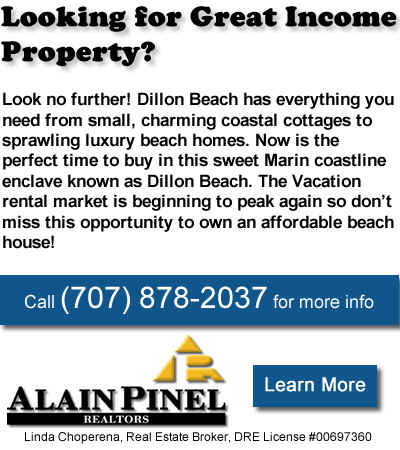 Dillon Beach Real Estate Homes for Sale