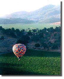 Hot Air Balloon in Napa Valley